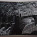 Nathan Dills Photo 5