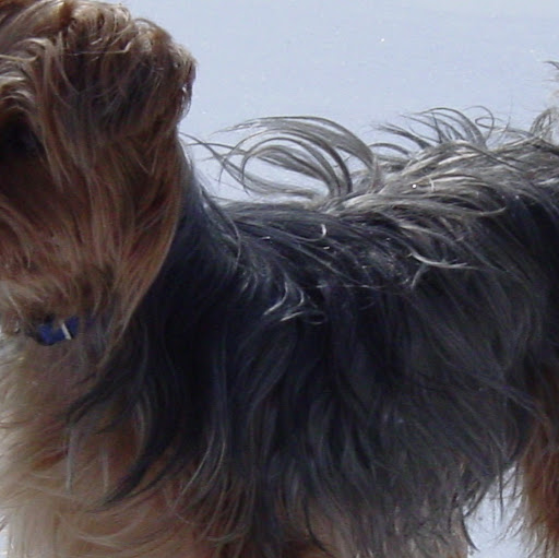 Betsy Hoxter Photo 4