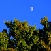 Melissa Stave Photo 4