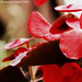 Michael Halsall Photo 6
