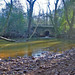 Jinx Wood Photo 3