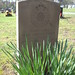 Ronald Sapper Photo 1