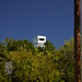Walter Blackwell Photo 4