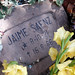 Paz Saenz Photo 8