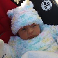 Cynthia Vanlandingham Photo 4