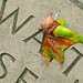 Katrina Dial Photo 2
