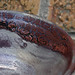 Ellen Glaze Photo 8