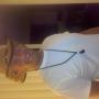 Corey Knox Photo 23
