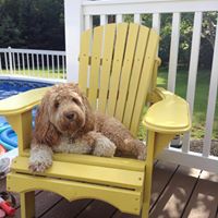 Karen Hagar Photo 13