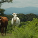 Kimberly Baird Photo 4