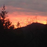 John Traul Photo 6