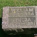 William Hamm Photo 17