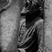 Mohsen Amin Photo 4