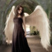 Angel Divino Photo 7