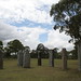 Bill Bushman Photo 6