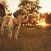 Dalton Gray Photo 7