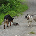 Maggie Quick Photo 8