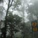 Windy Robertson Photo 2