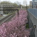 Virginia Plaza Photo 6