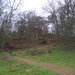 Fiona Adams Photo 7