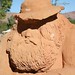 Bill Bushman Photo 13