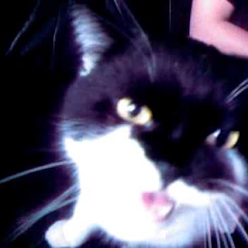 Thomas Post Photo 29