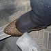 Stan Leopard Photo 6