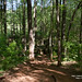 William Cheatham Photo 13