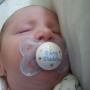 Robert Marshall Photo 29