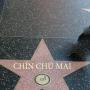 Chin Chu Photo 28