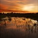 Kyle Cushman Photo 6