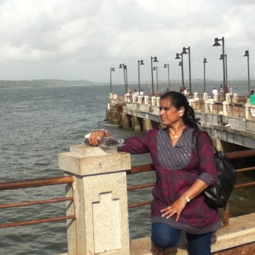 Hema Patel Photo 30
