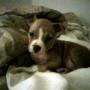 Tanya Ray Photo 41