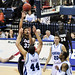 Steven Gray Photo 16