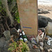 Thomas Botelho Photo 4