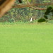 Long Duong Photo 19