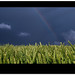 Jason Wheat Photo 5