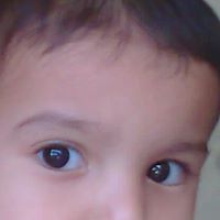 Narendra Pandey Photo 22