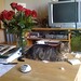 Christine Skidmore Photo 3