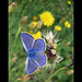 Andrea Prato Photo 5