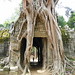 Som Ang Photo 4