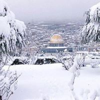 Hala Faraj Photo 3
