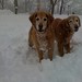 Brady Bailey Photo 6