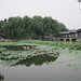 Tan Hu Photo 8