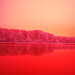 Mike Busse Photo 6