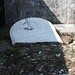 George Auer Photo 4