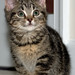 Wilma Brown Photo 3