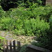 Cindy Parsley Photo 9