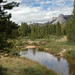 Donny Parker Photo 13