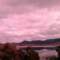 Tim Spicer Photo 24